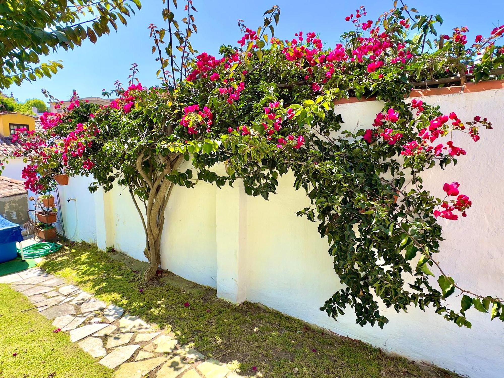 Casa Do Candeeiro Óbidos Kültér fotó